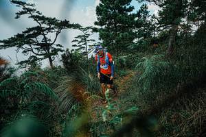 BIB: 
                            <button type="button" onclick="openModal(25258665)" class="btn btn-primary btn-sm float-right btn-popup" data-toggle="modal" data-target=".modal-high-quality">
                        <i class="fas fa-shopping-cart"></i> Add to Cart
                    </button>
                                            <button type="button" onclick="isThisMe(25258665, true)" class="btn btn-success btn-sm float-right btn-popup btn-isme hidden" data-toggle="tooltip" data-placement="bottom" title="นี่คือรูปของคุณใช่ไหม คลิกที่นี่เพื่อเอาเข้าอัลบั้ม">
                        <i class="fas fa-plus"></i> Add to album
                    </button>
                    <button type="button" onclick="isThisMe(25258665, false)" class="btn btn-warning btn-sm float-right btn-popup btn-isnotme hidden">
                        <i class="fas fa-ban"></i> Remove from album
                    </button>